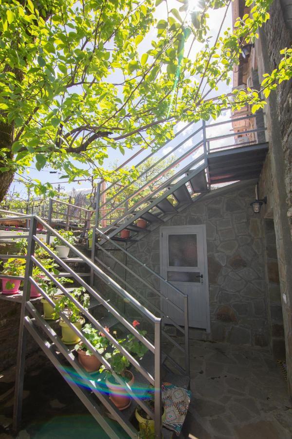 The Mosaic House - Shtepia Me Mozaik Hotel Permet Luaran gambar